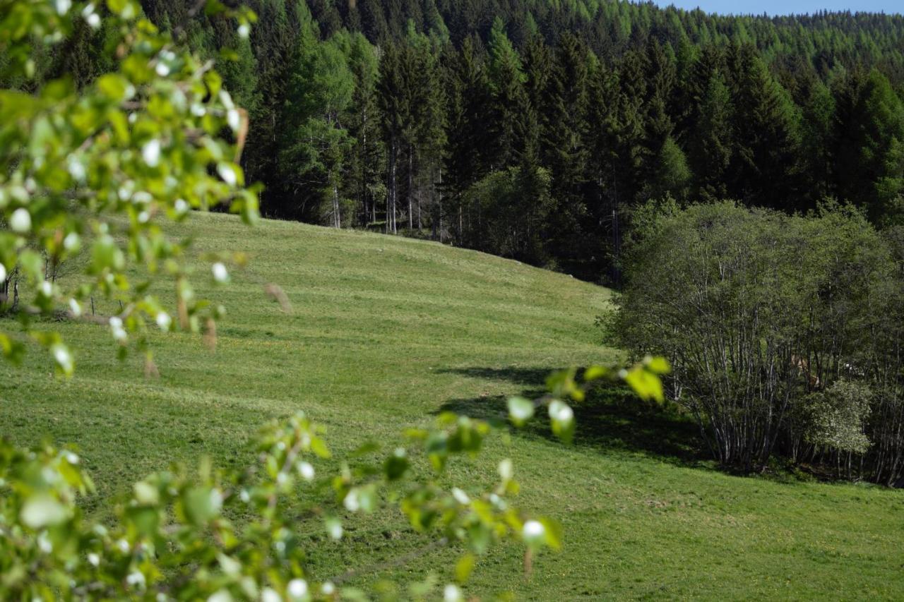 Landhaus Holzer Sankt Margarethen im Lungau Eksteriør bilde
